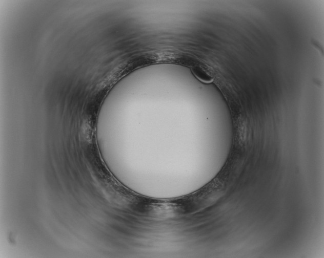 X0000102870316200809081211