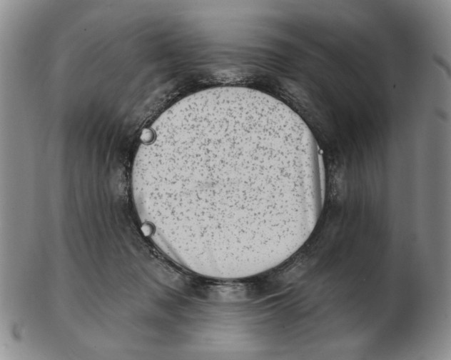 X0000102870317200809081211