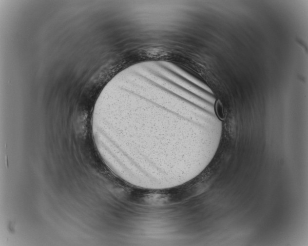 X0000102870319200809081211