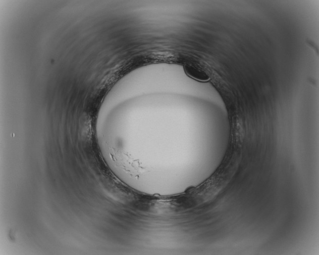 X0000102870320200809081211