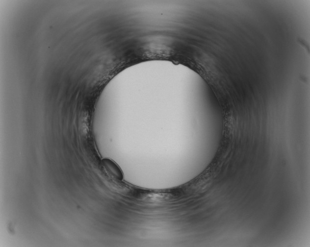 X0000102870323200809081211