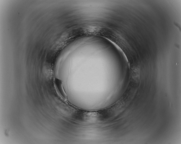 X0000102870324200809081211