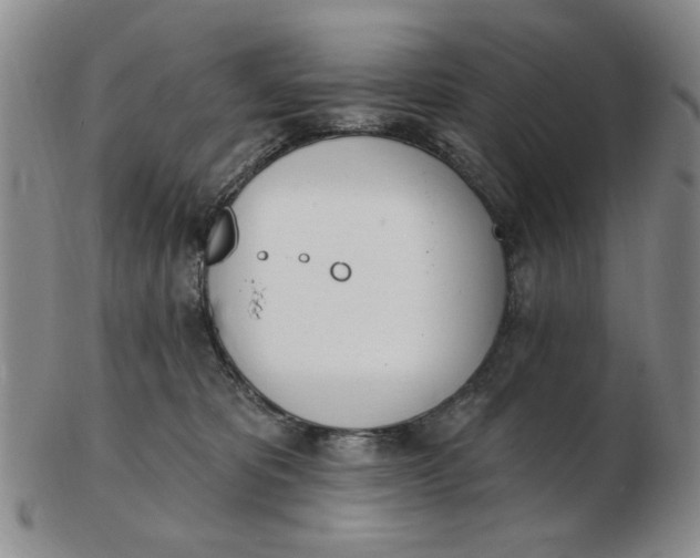 X0000102870325200809081211