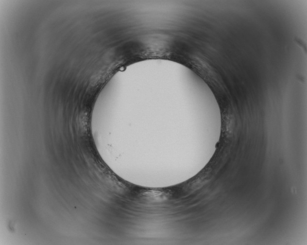 X0000102870326200809081211