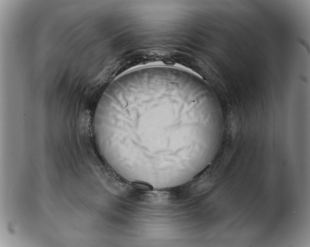 X0000102870328200809081211