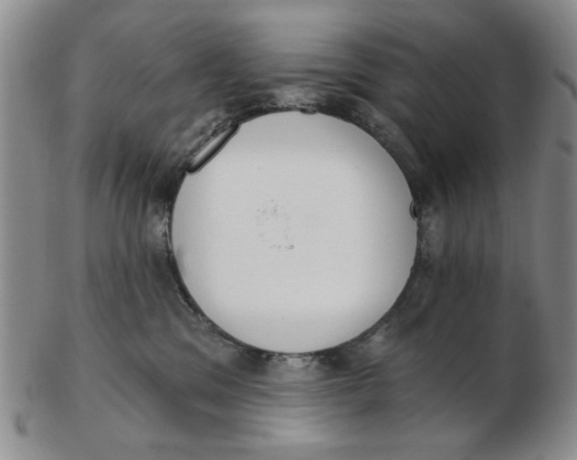 X0000102870329200809081211