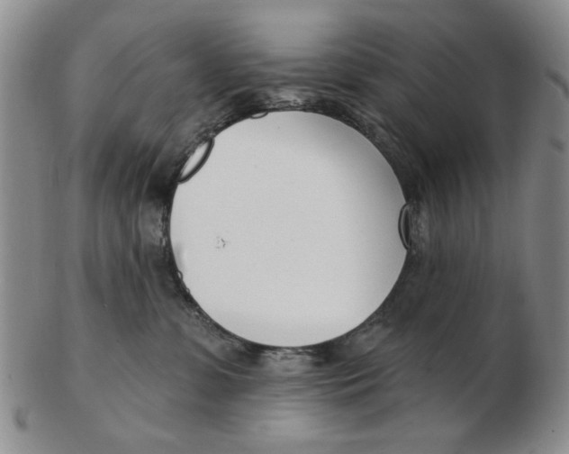 X0000102870331200809081211