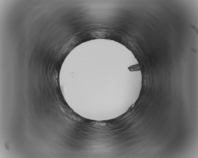 X0000102870332200809081211