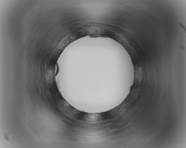 X0000102870333200809081211