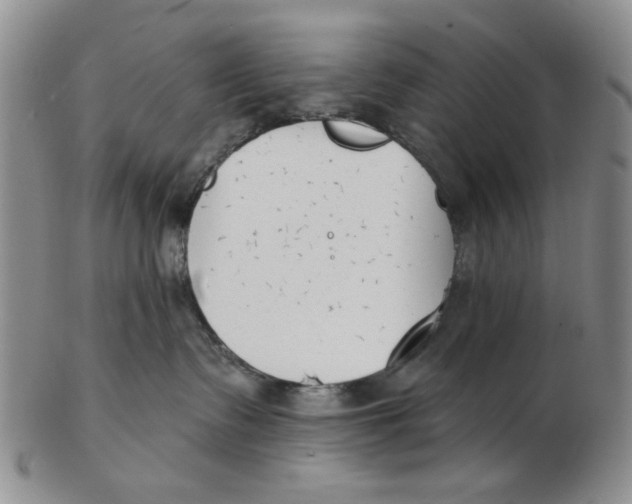 X0000102870335200809081211