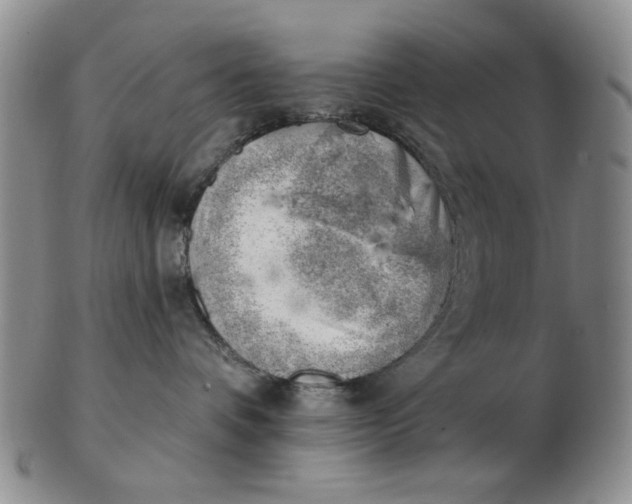 X0000102870336200809081211