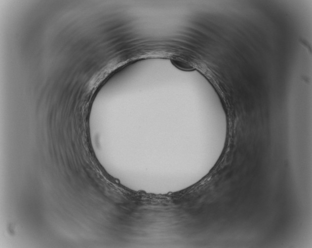 X0000102870337200809081210