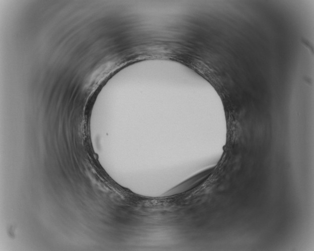 X0000102870338200809081210