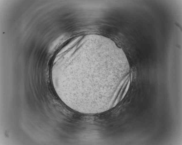 X0000102870339200809081210