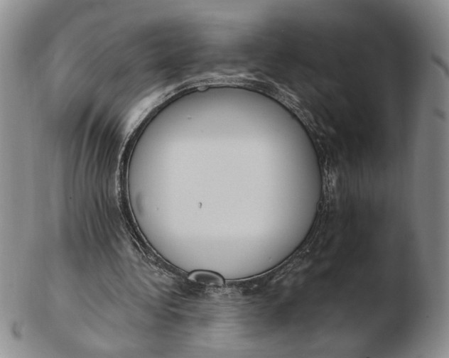 X0000102870340200809081210