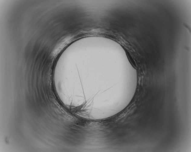 X0000102870341200809081211