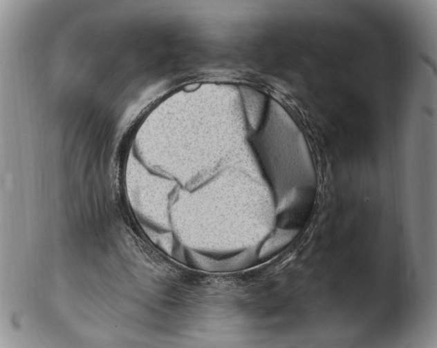 X0000102870343200809081211