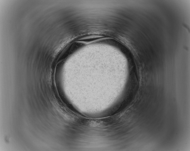 X0000102870346200809081211