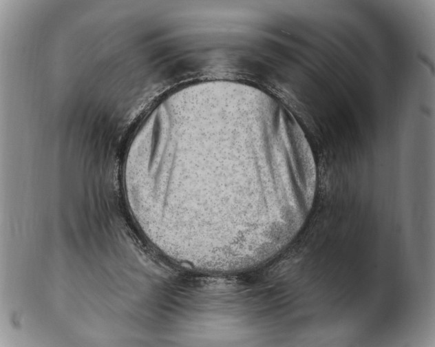 X0000102870347200809081211