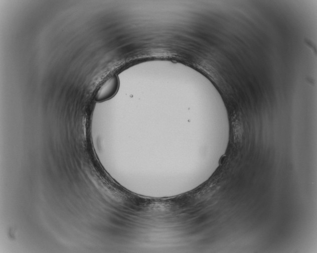 X0000102870350200809081211