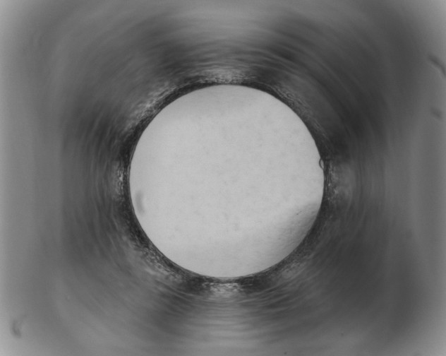 X0000102870355200809081211