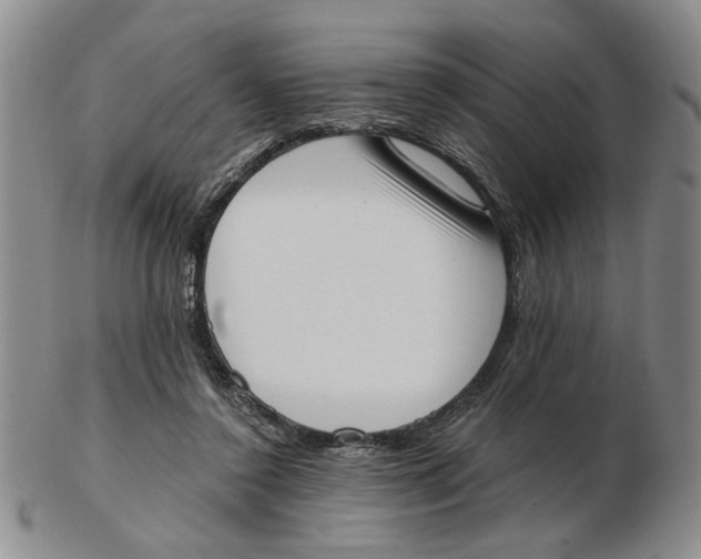 X0000102870356200809081211