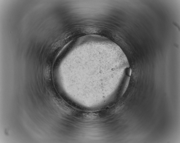 X0000102870359200809081211