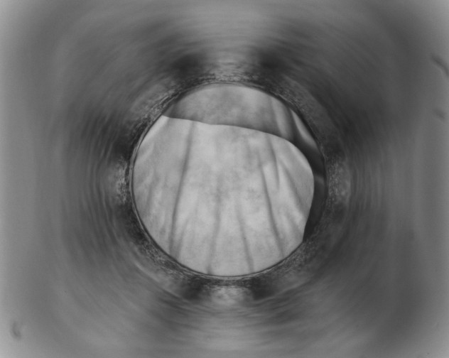 X0000102870360200809081211