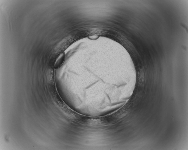 X0000102870361200809081211