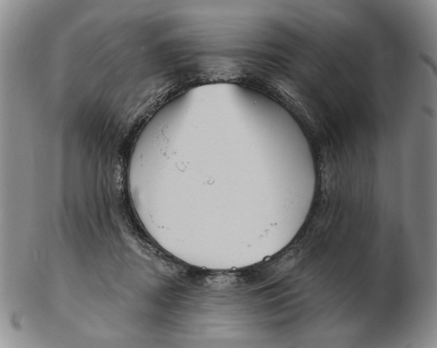 X0000102870362200809081211