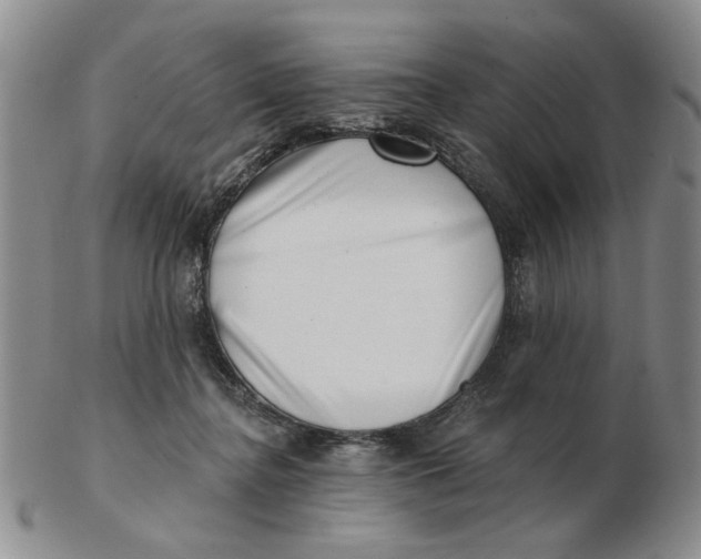 X0000102870364200809081211