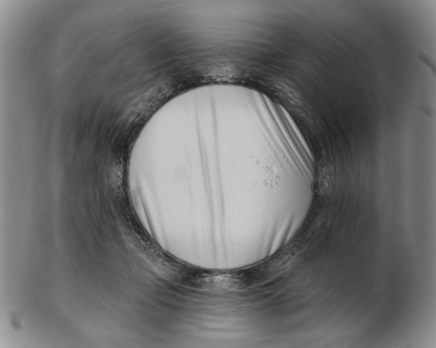 X0000102870365200809081211