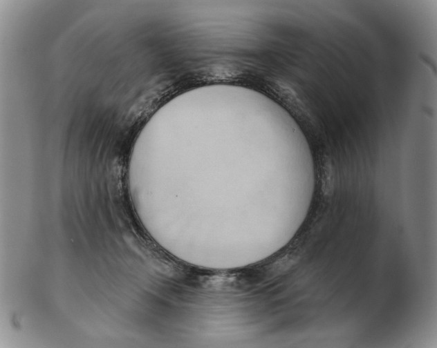 X0000102870366200809081211