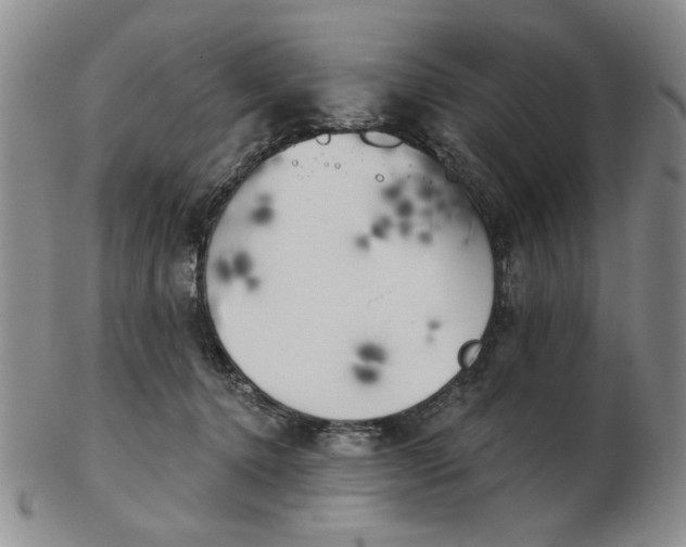 X0000102870368200809081211