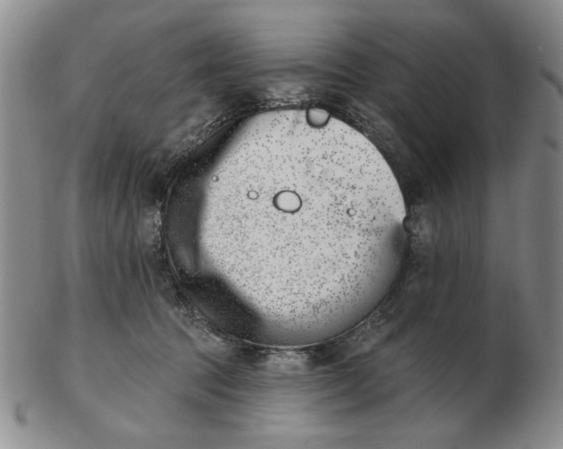 X0000102870369200809081211