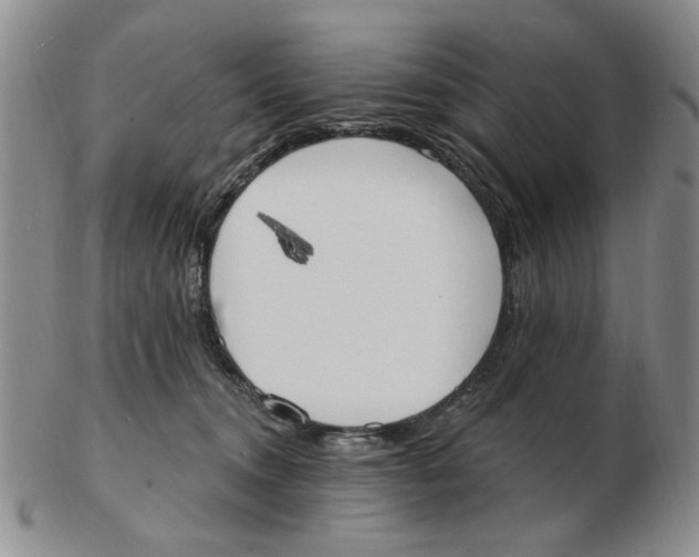 X0000102870372200809081211