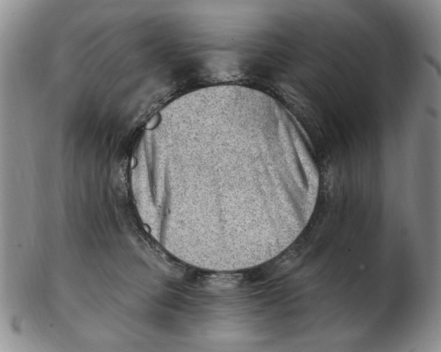 X0000102870373200809081211