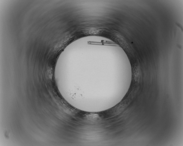 X0000102870374200809081211