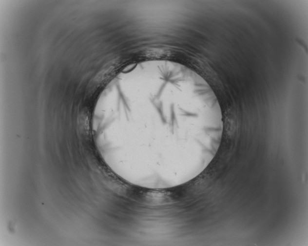 X0000102870375200809081211