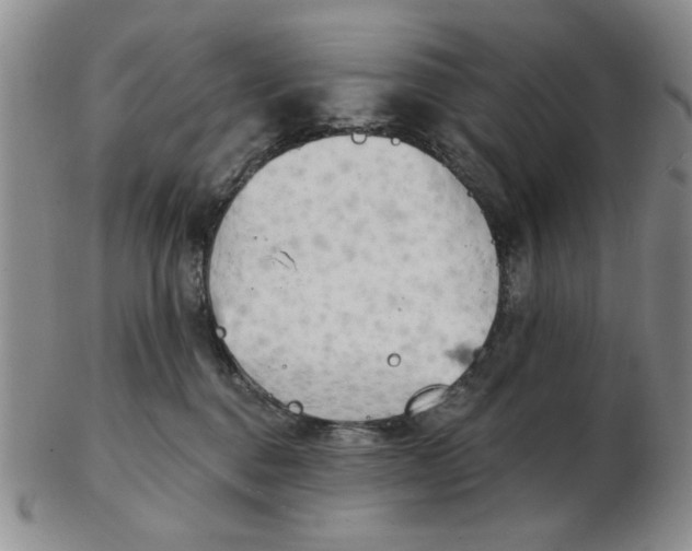 X0000102870376200809081211