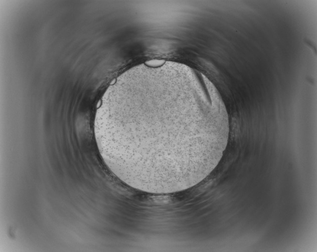 X0000102870377200809081211