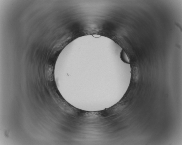 X0000102870378200809081211