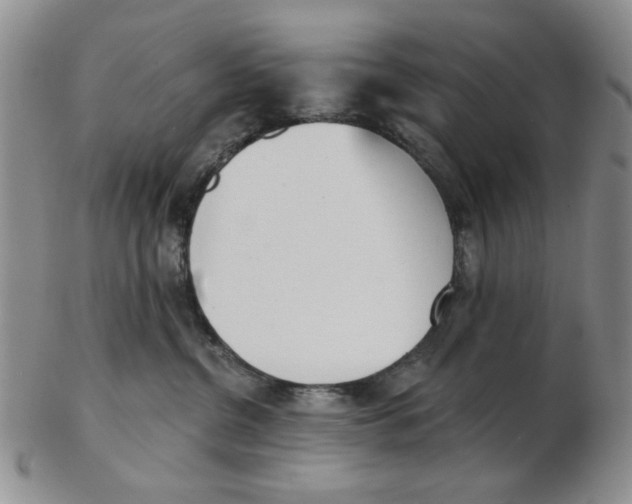 X0000102870380200809081211