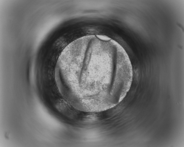 X0000102870381200809081211