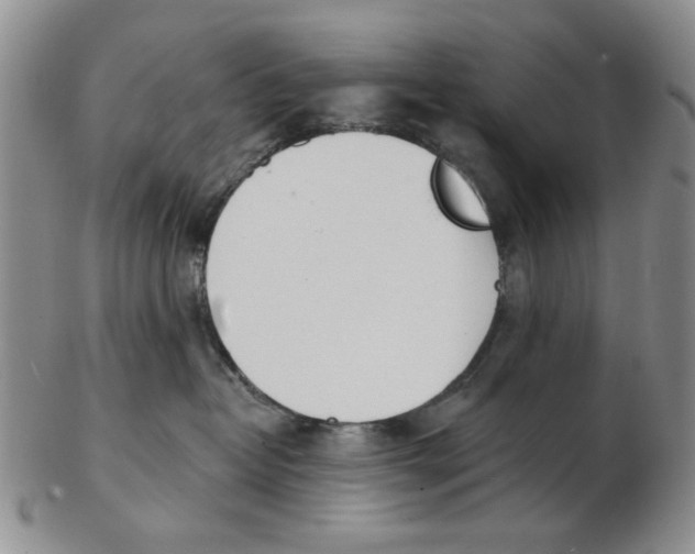 X0000102870382200809081211