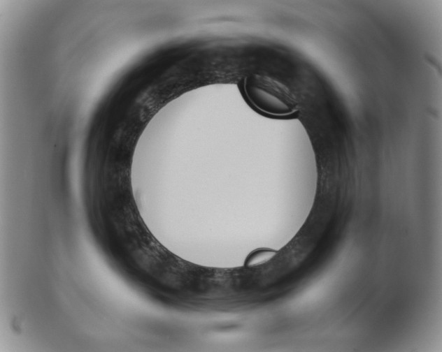 X0000102870383200809081211