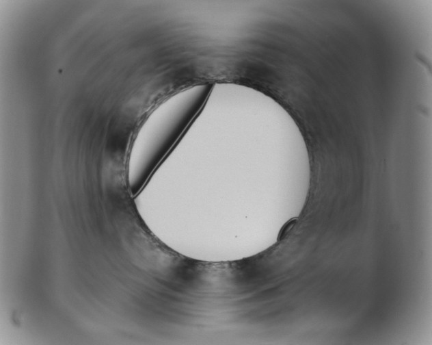 X0000102870384200809081211