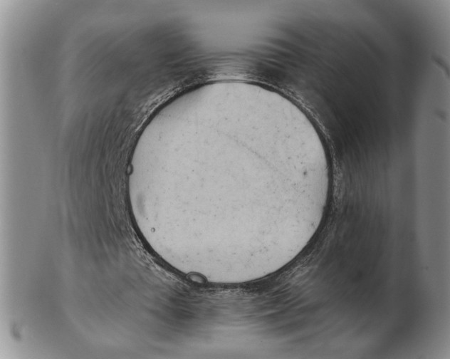 X0000102870385200809081210