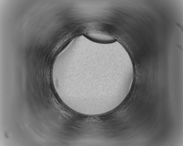 X0000102870386200809081210