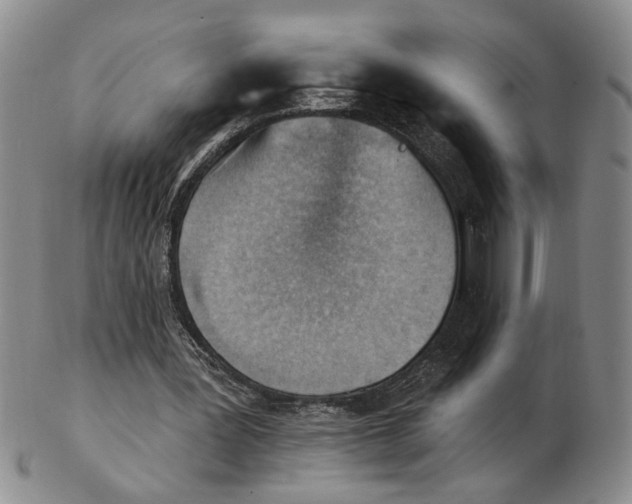 X0000102870387200809081210